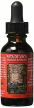 Amazon Therapeutic Laboratories Pata De Vaca Liquid Extract, 1 Ounce - £13.34 GBP