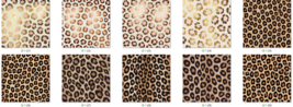 Item image 13