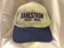 trucker hat baseball cap DAHLSTROM OSLO MN retro vintage rare rave slide adjust - $39.99