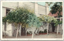 San Gabriel Mission, California The Rose Tree White Border Postcard Phostint - £10.28 GBP