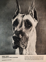 1955 Esquire Dog Photograph GREAT DANE Champion Jo-Art&#39;s Heather Carl Perutz - £8.65 GBP