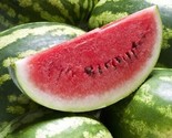 10 Crimson Sweet Watermelon Seeds Very Sweet Non Gmo Heirloom Fast Shipping - $8.99