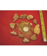 (k-4066) 50 g Rare Kauri tree Gum bag chips copal Amber New Zealand Tane... - $31.78