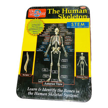 T.S. Shure The Human Skeleton Magnetic Science Tin Stem Activity Age 7+ - £11.70 GBP