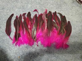 Ymp51 Lot of 50 Dyed Purple to fushia 5-7&quot; Tail Feathers - £9.48 GBP