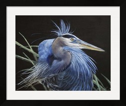 Blue Heron Framed Art Print by James Corwin Fine Art - £318.88 GBP