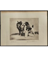 DIANA THORNE ~ &#39;ATTENTION&#39; ~ AIREDALE &amp; SAMOYED ~ Vintage bookplate unma... - $22.34 CAD