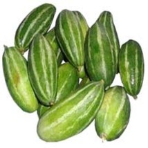 25 Trichosanthes dioica Seeds. Pointed gourd Seeds, Parwal Seeds, Parval... - £6.38 GBP