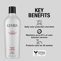 Kenra Color Maintenance Shampoo, 10.1 Oz. image 3