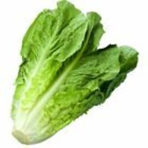 Romaine Lettuce Seeds  Non-GMO Vegetable Garden Seeds from USA 1200+ Seeds - £9.11 GBP