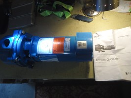 Goulds GT10 Irri-Gator Self Priming Centrifugal Pump - 1 HP  115 Volt - $8,362.48 MXN
