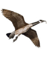 Jackite Canada Goose Decoy Kite / Windsock - $40.95