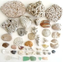 Shells Coral Rocks Sea Glass Lot Of 43 Maine Coast Nautical Collectibles SeaBx1 - £19.57 GBP