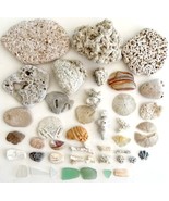 Shells Coral Rocks Sea Glass Lot Of 43 Maine Coast Nautical Collectibles... - £19.74 GBP