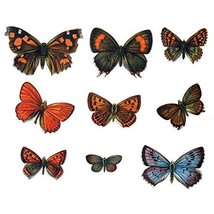 19 Vintage Styled Butterfly Decals Set Design Two - Sizes Shown on Example Image - £15.84 GBP