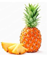 Pineapple Seeds Organic Fruit - $10.67