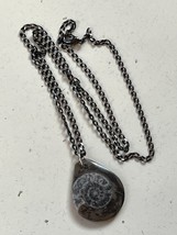 Long Oxidized Silvertone Chain w Brown &amp; Gray Polished Nautilus Stone Teardrop - £13.34 GBP