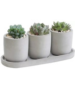 Set of 3 Succulent Planters 2.9&quot; Terracotta Plant Pots w/ Drainage Holes - $19.79