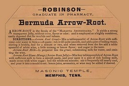 Bermuda Arrow-Root - Art Print - $21.99+