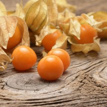 Cape Gooseberry Tomatillo 100 Seeds Ground Cherry Goldenberry Seeds Large Fruit  - £8.25 GBP