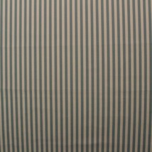 Ballard Design Sunbrella Robins Stripe Spa Blue Outdoor Fabric 1.75 Yards 54&quot;W - £23.17 GBP