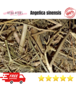 Premium Organic Dried Angelica sinensis عشبة حشيشة الملائكة - $20.46+