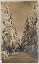 RPPC Snow Covered Pine Trees Real Photo Winter Scene c1907 Postcard E16 - £7.94 GBP