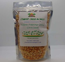 15 oz Yellow Popping Corn, Corn Seed for Growing, Heirloom, Open Pollinated Non- - £7.55 GBP
