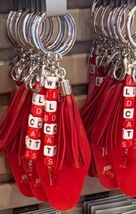 Disney Parks High School Musical Wildcats Keychain Bag Charm - $27.99