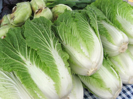 Garden Store 500 Bilko Cabbage Seeds FROM USA  - £7.60 GBP