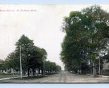 Belle Avenue Street View St Charles Michigan MI 1908 DB Postcard O4 - $10.84