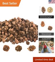 Versatile Mini Pine Cones - 800PCS for Thanksgiving and Seasonal Decoration - $39.00