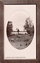 SHEEP~STRAYED FROM YONDER MEADOWS-ROTARY OVAL WINDOW REAL PHOTO POSTCARD - £7.36 GBP