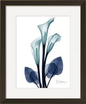 Midnight Calla Lily 1 Framed Fine Art Print by Albert Koetsier 19 x 23 - £234.15 GBP