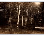 RPPC Cottages at Birchwood Wisconsin WI Northern Photo Co UNP Postcard W22 - $9.85