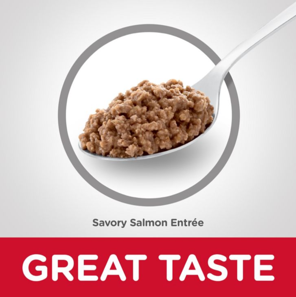 Hill's Science Diet Adult Savory Minced Salmon 5.5oz Wet Cat Food - 1 Single Can Item image 2