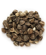 MBK 3 Ashe&#39;S Magnolia Tree Seeds Fast Ship - €11,22 EUR