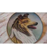 Tiziano Veneto Flair Plate Etched Italy Collie, Poodle, German Shepperd,... - $1,014.25 MXN