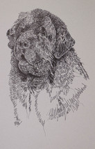 Newfoundland Dog Art Portrait Print #64 Kline adds dog name free. WORD D... - $49.45