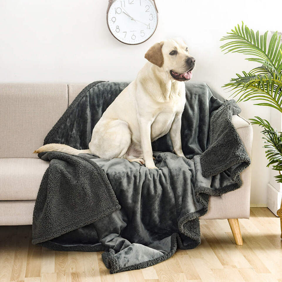 Waterproof Thick Wool Pet Blanket - $19.75+