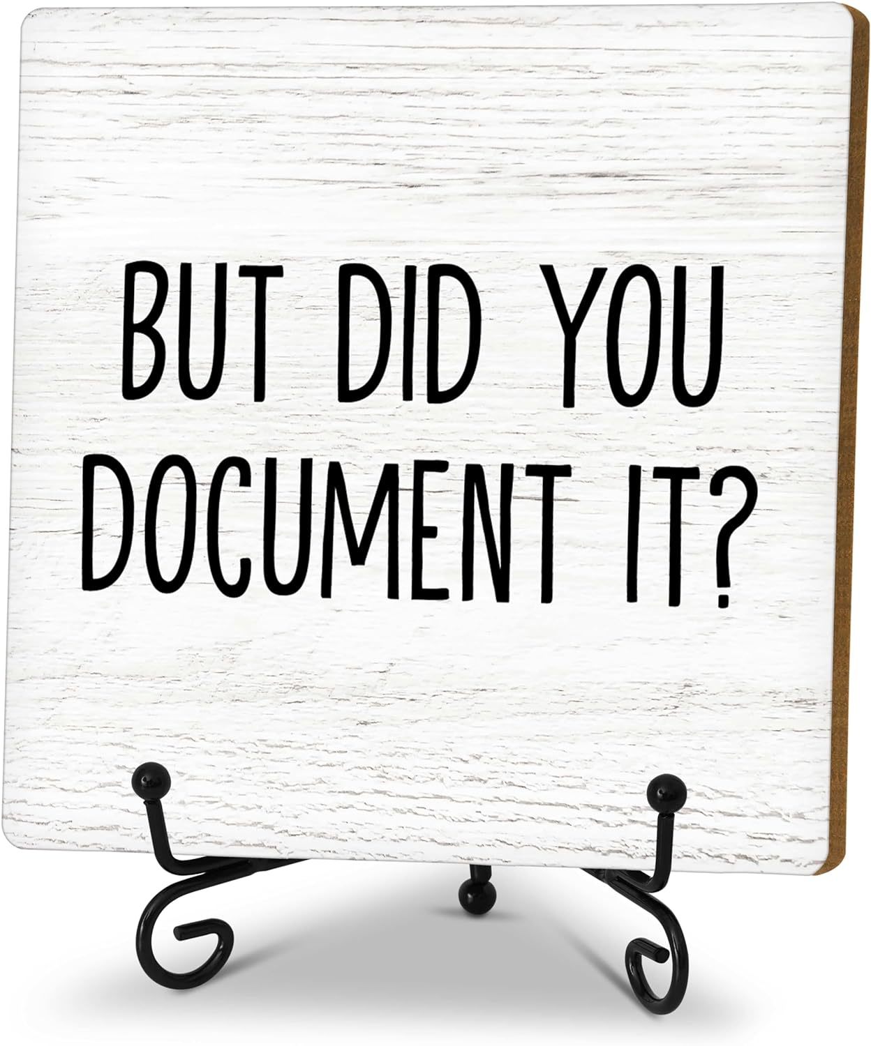 But Did You Document It, Funny Office Desk Decor, Hr Gifts Decorative, A02 - $29.94