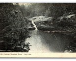 Lula Lake Lookout Mountain Tennessee TN UNP DB Postcard U10 - $3.51
