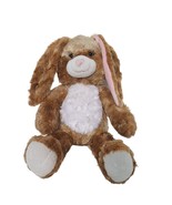 Build A Bear Easter Bunny Rabbit Plush Brown White Floppy Ears Stuffed A... - £27.71 GBP
