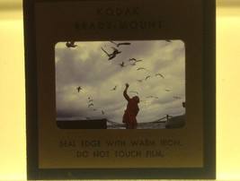 Vintage 1971 Kodak Ready-Mount Birds Sea Gulls Woman Photograph Color Slide - $39.99