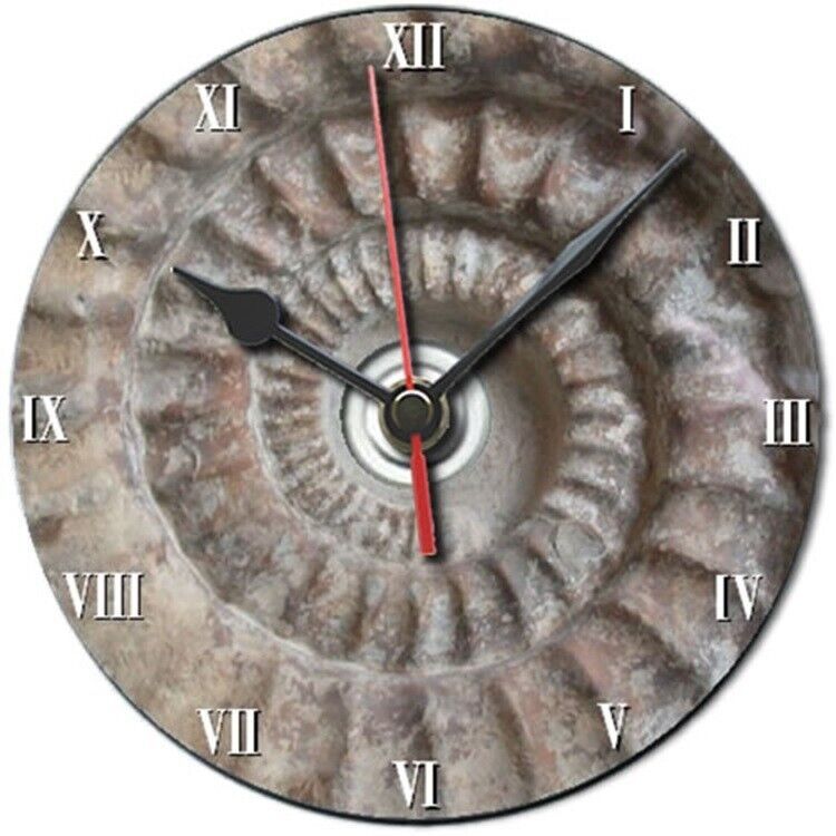 Fossil, Ammonite dvd clock, Christmas gift idea, can be personalised - F... - $12.79