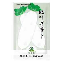 900Pcs Radish Seed White Icicle Radish Short Leaf Non Gm Vegetable Seed Fresh Ga - $10.78