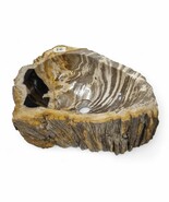 Basin Fossilized Wood Natural Stone Attachment Washing Bowl Bathroom - $8,934.55 MXN