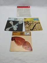 Lot Of (3) 1975 Rencontre Worms Education Cards - $24.74