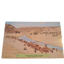 Postcard Greetings From Kansas The Wheat State Herding Cattle Chrome Unposted - £5.69 GBP
