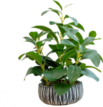 Fake Plants Indoor Thick Ficus Leaves Faux Plant 12&quot; - Realistic Looking and Tou - £37.76 GBP